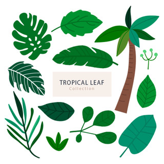 热带夏天植物卡通树叶边框PNG免抠素材
